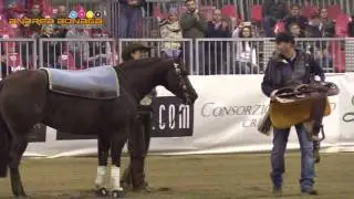 ANN FONCK & EBONY SPOOK - FUTURITY 2016 CREMONA