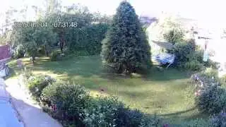 iShare S800W WIFI 2.0inch Outdoor Sports Camera - 1080p Test