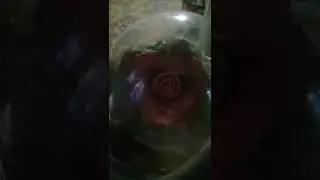 Влог какая я на самом деле.