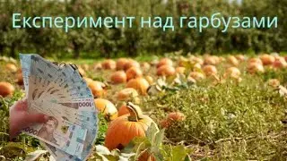 Тема Гарбузи