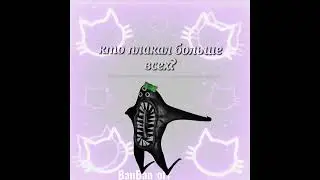 сняли с ролкой) 