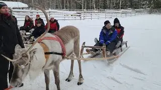 ЛАПЛАНДИЯ , пытаемся убить Андрея в день празднования годовщины свадьбы 😁 ДЕНЬ 5