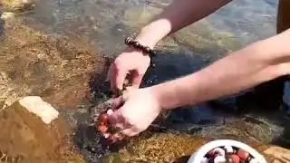 Браслет фен шуй с бусинами дзи