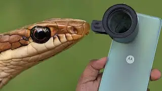 Lensbong Sony Premium Macro Lens Review | Best Macro Lens for Smartphone Photography 2025