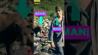 The Grizzly Man Bear Attack Was Caught on Tape