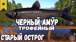 РР4 / ТРОФЕЙ / АМУР ЧЕРНЫЙ / Старый острог