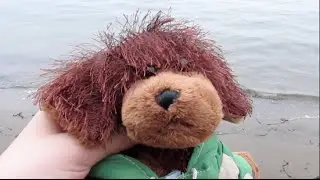 Webkinz at the beach!