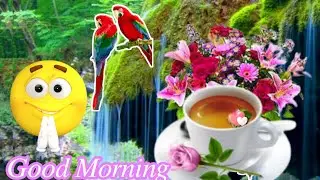 good morning status 💙 good morning whatsapp status video 💙 good morning video 📹