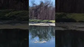 Beautiful day for a park