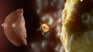 How COVID 19 works in 3D (Animation)