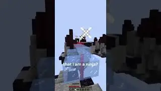 I am a ninja ‐ minecraft