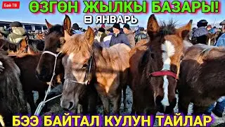БЭЭ| БАЙТАЛ| КУЛУН ТАЙ БААЛАРЫ 🥳👍 