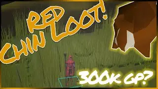 Loot From 5hrs of Red Chins | OSRS