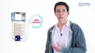 +Ciencia: Conoce cómo funciona una refrigeradora