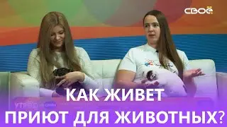 Как живет приют для животных сейчас? Интервью на 