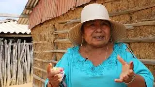 Testimonio