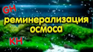 Подготовка осмотической воды для аквариума. Реминерализация осмоса.