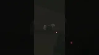 Баги Таркова не перестают удивлять 