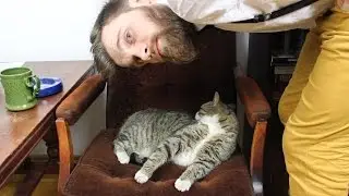 Streszczenia lektur - 
