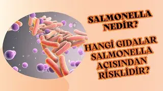 SALMONELLA NEDİR? HANGİ GIDALAR SALMONELLA AÇISINDAN RİSKLİDİR?
