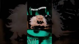ХОМЯК СТРАШИЛКА Ч2 II #хомяк #hamsterkombat #hamsters  #шорц  #kussia88  #юмор  #шортки  #шортс