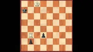 Chess Beauty #99