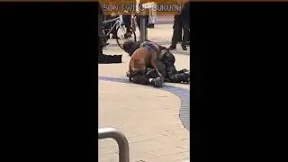 MÜKEMMEL EĞİTİMLİ PITBULL BÖYLESİNİ GÖRMEDİNİZ