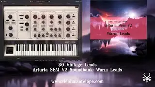 Arturia SEM V2 Presets | Vicious Antelope - Warm Leads