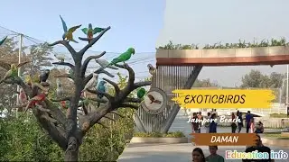 Aviary in Daman