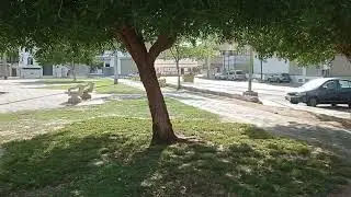 In Touch with Nature