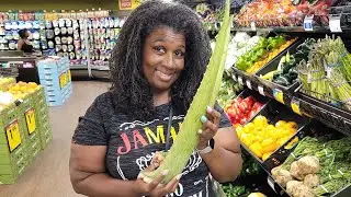 Kasondra's Tip Benefits of Aloe Vera Leaf