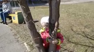 Прогулка с психологом. Окончание