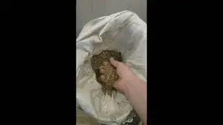 Видео друзей