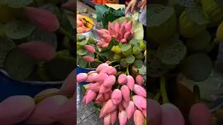 Street Flowers Beautiful Lotus #flowers #garden