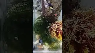 А ВОТ И КЕНТЫ ПОДЪЕХАЛИ🤣😉👀👍