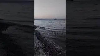 Волга 20.07.2024