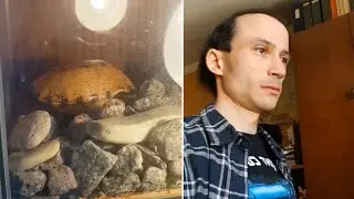 НАС РАЗЫГРАЛА ЧЕРЕПАХА ч3 | ДУСЯ ТАК И НЕ ВЕРНУЛАСЬ😐