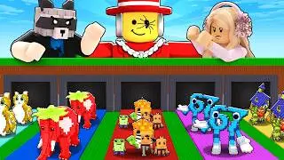 😱НАЧАЛ С НУЛЯ, но АДМИН МНЕ БЕСКОНЕЧНЫЕ ДОРОЖКИ БРЕЙНРОТОВ в Steal a Brainrot!