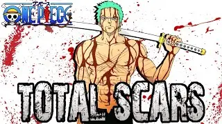 Roronoa Zoro | Total Scars | One Piece