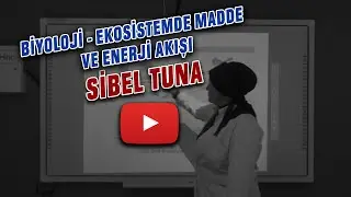 10.SINIF-TYT-AYT-BİYOLOJİ-EKOSİSTEMDE MADDE VE ENERJİ AKIŞI-SİBEL TUNA