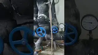 12 августа 2023 г.