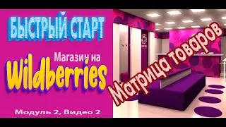 Быстрый старт с Wildberries. Таргет-Ретаргет WB | Матрица товаров