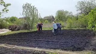 #ДачныйРемонт