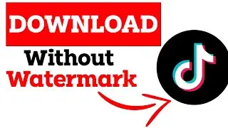 Download TikTok Video Without Watermark | How to Download TikTok Video Without Watermark
