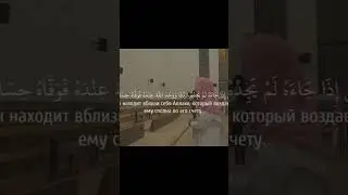 Мухаммад Люхайдан #красивоечтениекорана #коран #shortsvideo #аяты
