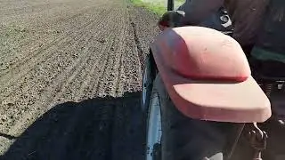 Посів сої ГМО