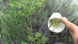 Такой рыбалки вы ещё не видели