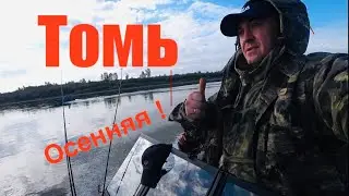 Рыбалка на Томи  !