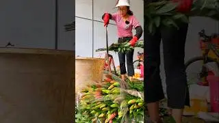 Flower Packing Center #flowers #garden #amazing