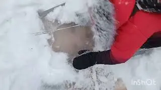 Проверяем дом на дереве и крутим сальтухи